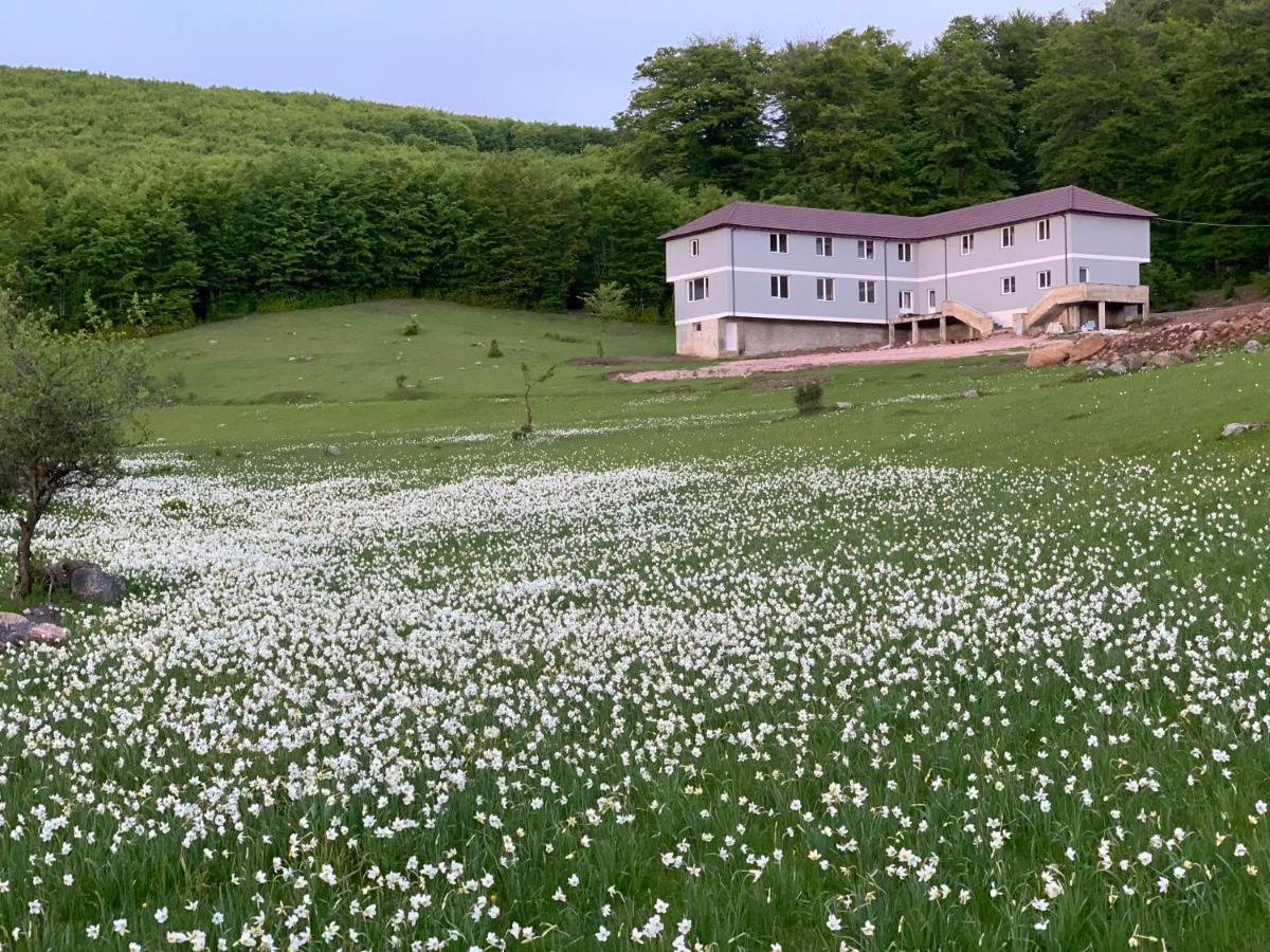 Bujtina Shehu Hotell Kukes Eksteriør bilde